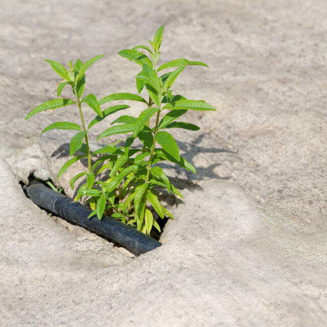 Ardelaine - Feutre de paillage 400g/m²