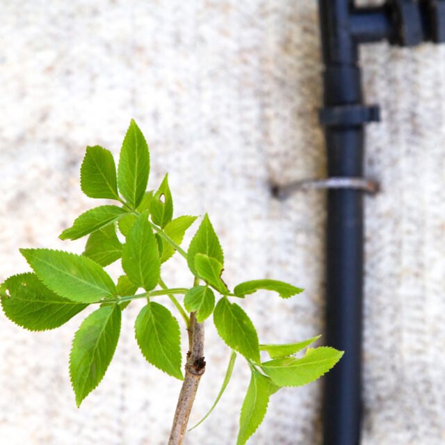 Ardelaine - Feutre de paillage 400g/m²