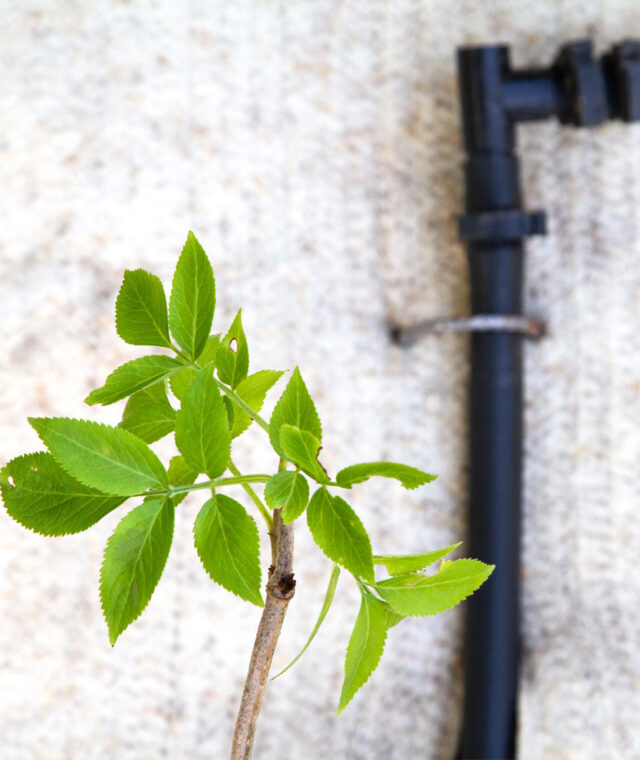 Ardelaine - Feutre de paillage 400g/m²