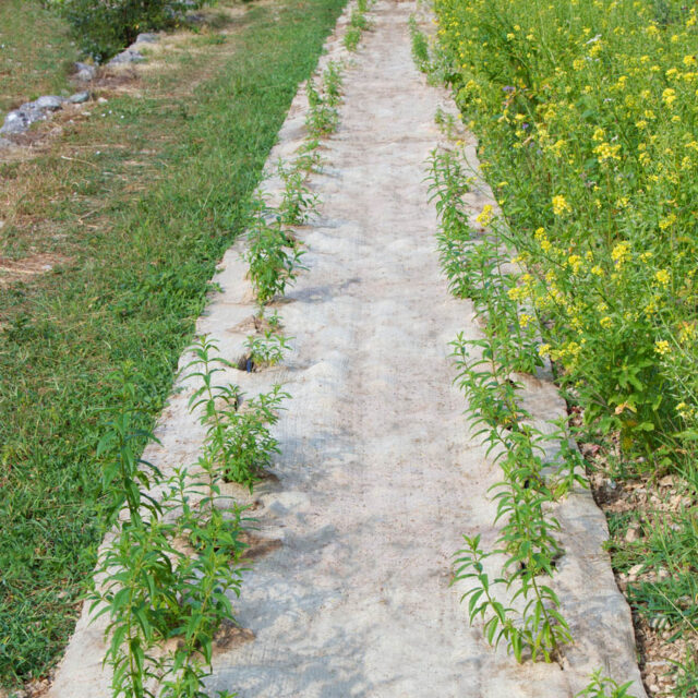 Ardelaine - Feutre de paillage 700g/m²