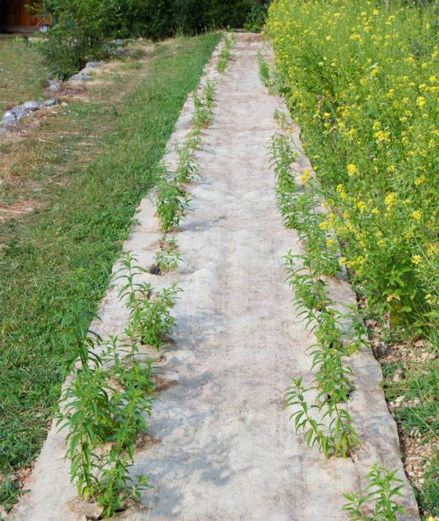 Ardelaine - Feutre de paillage 700g/m²