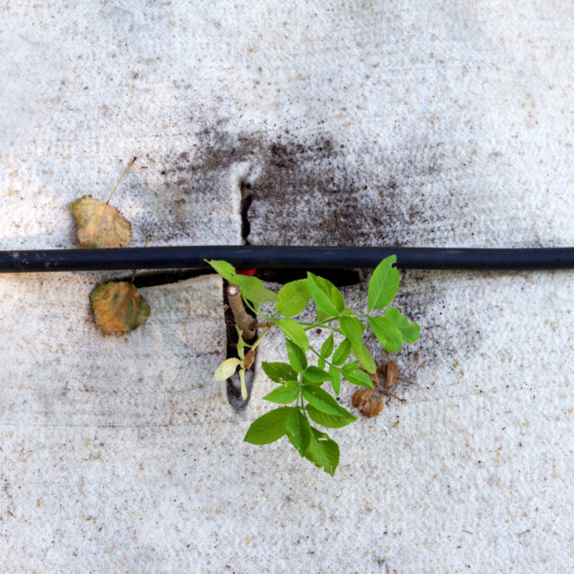 Ardelaine - Feutre de paillage 400g/m²