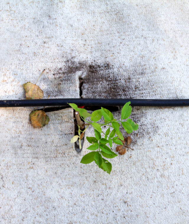 Ardelaine - Feutre de paillage 1000g/m²