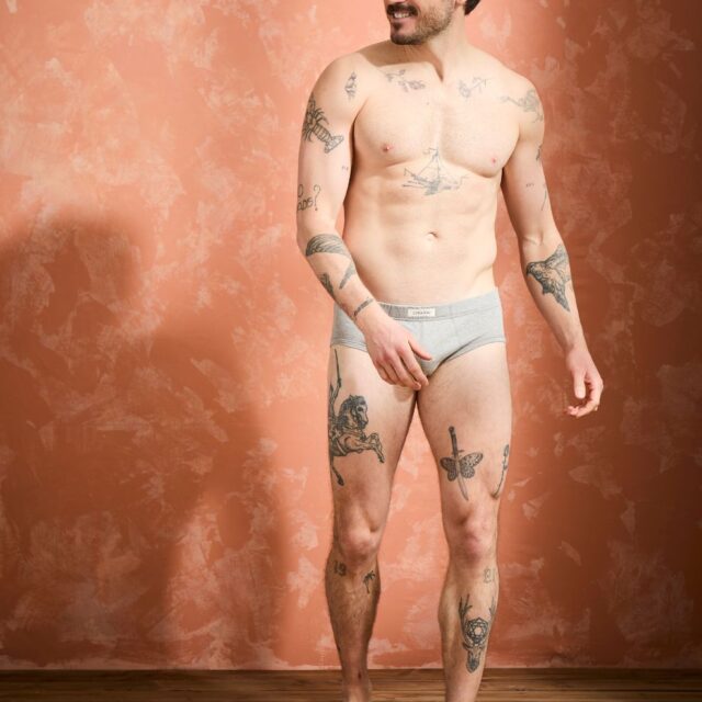 Lemahieu - Slip confort Coton BIO - Gris - Terracotta - Homme