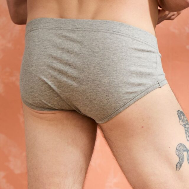 Lemahieu - Slip confort Coton BIO - Gris - Terracotta - Homme