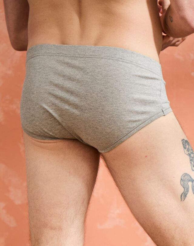 Lemahieu - Slip confort Coton BIO - Gris - Terracotta - Homme