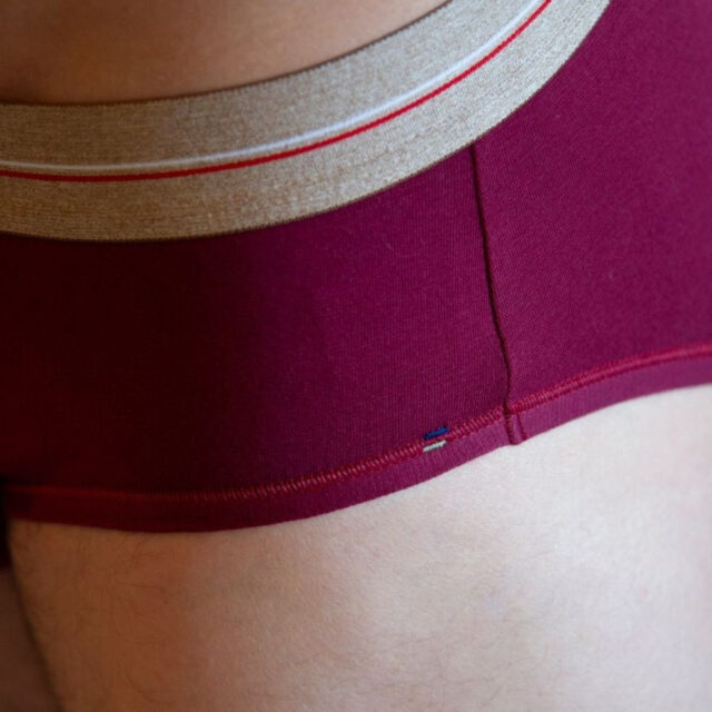 Lemahieu - Slip en Coton bio - Grenat - Bordeaux - Homme