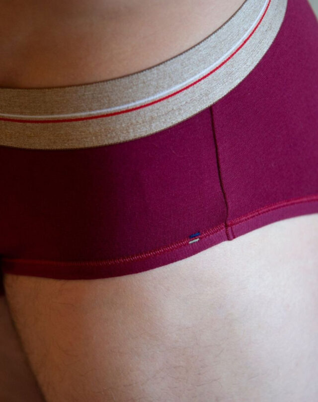 Lemahieu - Slip en Coton bio - Grenat - Bordeaux - Homme