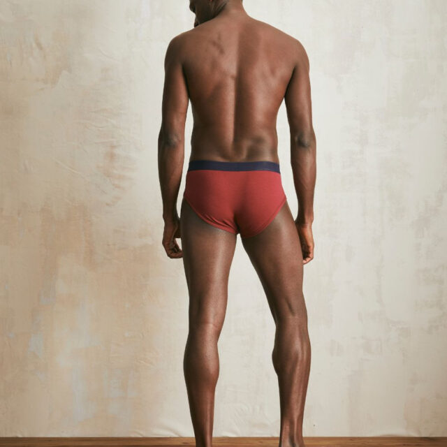 Lemahieu - Slip en Coton BIO - Grenat - Bordeaux - Homme