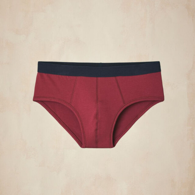 Lemahieu - Slip en Coton BIO - Grenat - Bordeaux - Homme