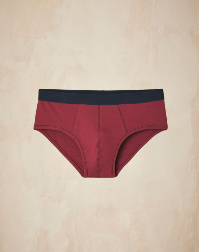 Lemahieu - Slip en Coton BIO - Grenat - Bordeaux - Homme