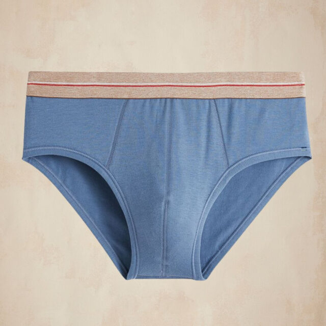 Lemahieu - Slip en Coton bio- Bleu océan - Homme