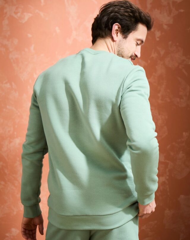 Lemahieu - Sweat en Coton BIO Molleton - Sauge - Homme