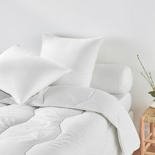 LA REDOUTE INTERIEURS - Oreiller Ferme Coton Bio Anti-acarien