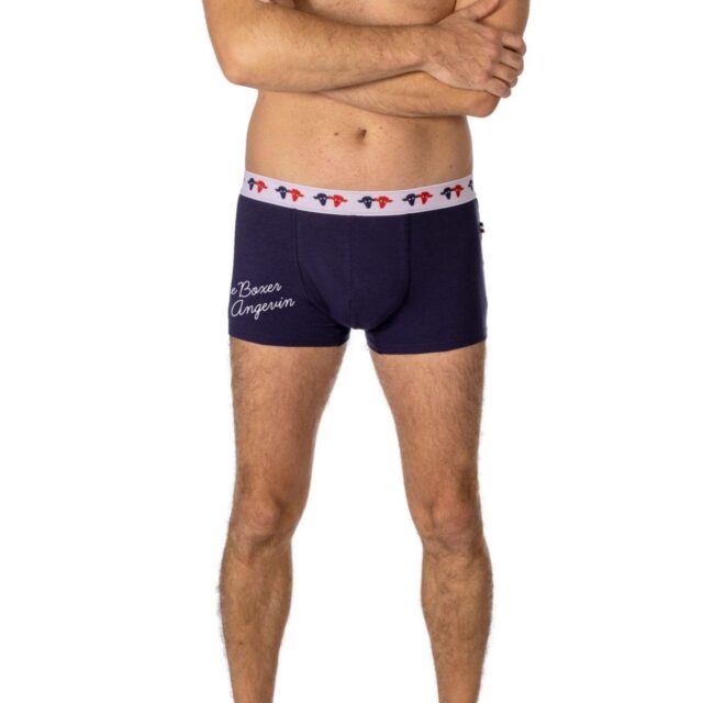 Seizepointneuf - BOXER ANGEVIN