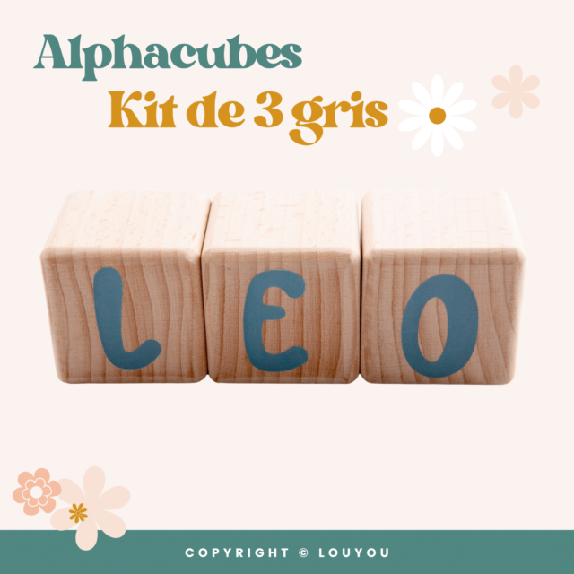 LouYou - 3 Cubes en Bois de 5cm x 5cm + 47 Stickers Gris