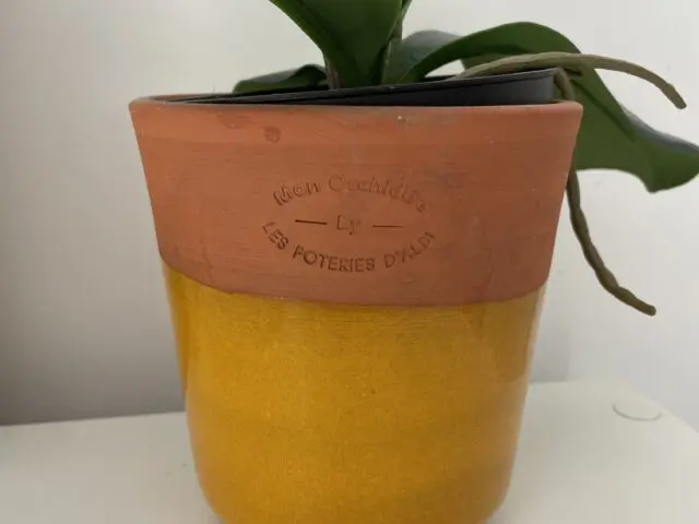 Pot pour Orchidée
