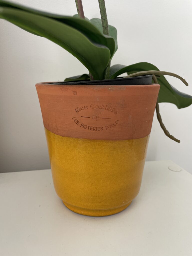 Marques de France credits poterie orchidee Pot pour Orchidée