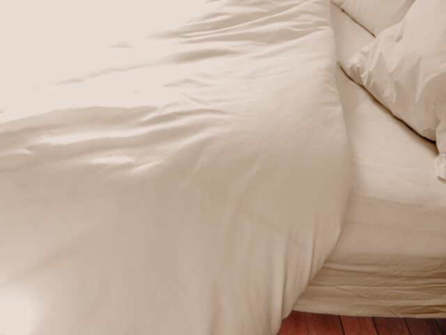 Dejorine - Housse de couette en Percale de coton - Beige