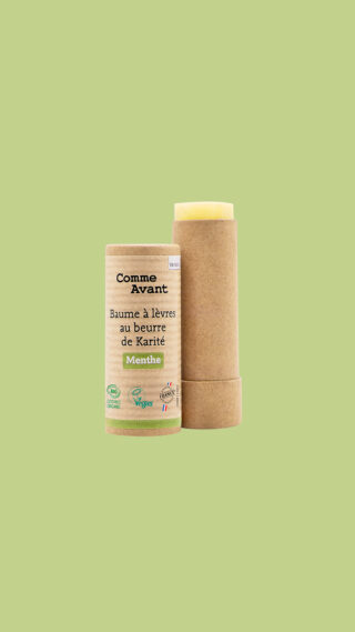 Comme Avant - Stick Baume à Lèvres Bio Parfum Menthe au Beurre de Karité  Hydratant & Nourrissant