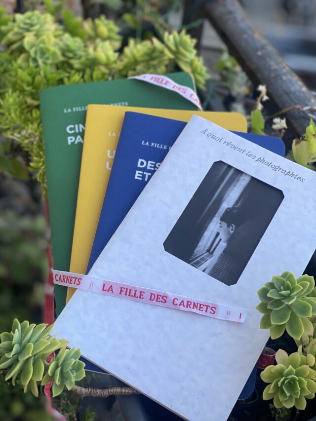 La Fille des Carnets - La Collection UN AN D’ÉCRITURE – 2