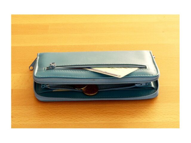 La Guêpe - Petite Maroquinerie - Compagnon cuir caramel hermétique - 263