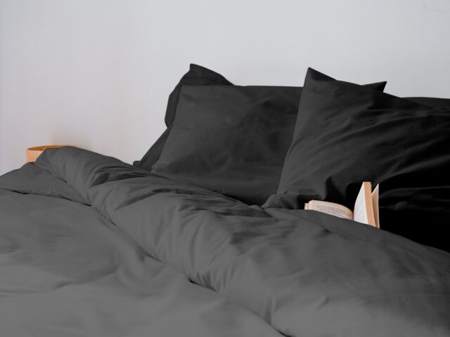 Dejorine - Parure de lit en Percale de coton - Gris anthracite