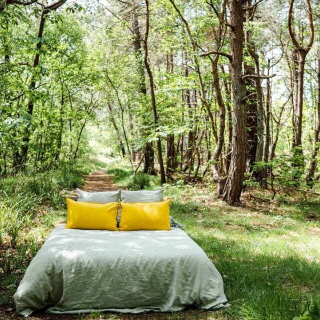 Embrin - Housse de Couette en Lin - Vert