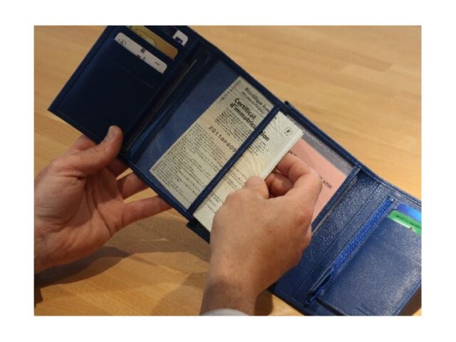 La Guêpe - Petite Maroquinerie - Portefeuille en cuir