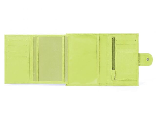 La Guêpe - Petite Maroquinerie - Portefeuille en cuir avec patte de fermeture - anis - 320