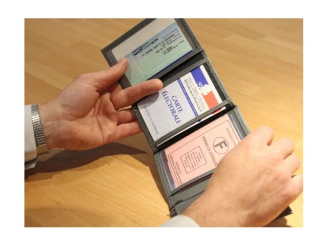 La Guêpe - Petite Maroquinerie - Portefeuille en cuir - violet - 466