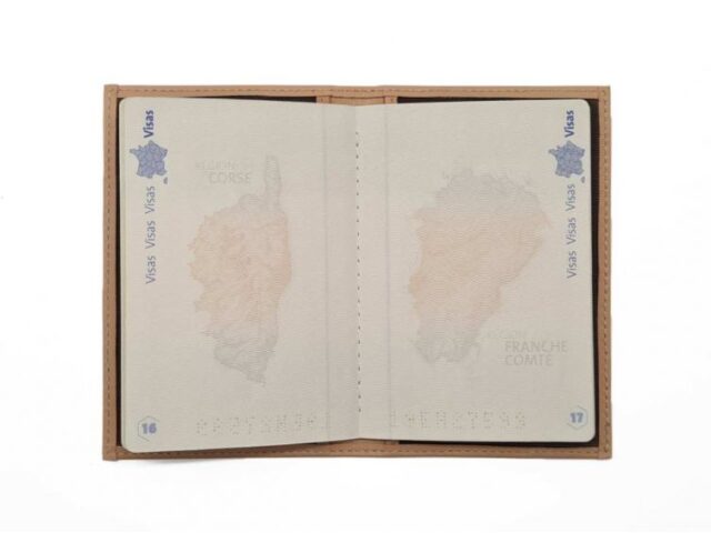 La Guêpe - Petite Maroquinerie - Protège passeport "Luxe" en cuir rosa - simple 2 volets - PM-032-01