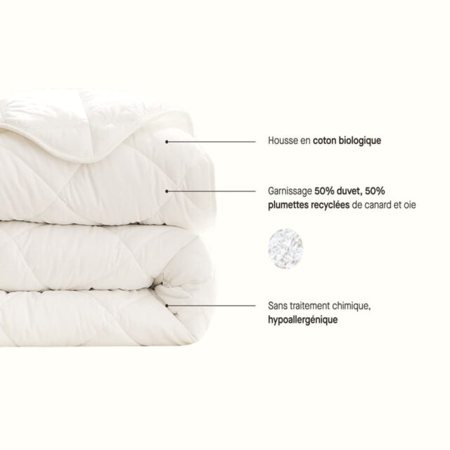 KIPLI - Couette en duvet et plumes | 240x260 - Kipli