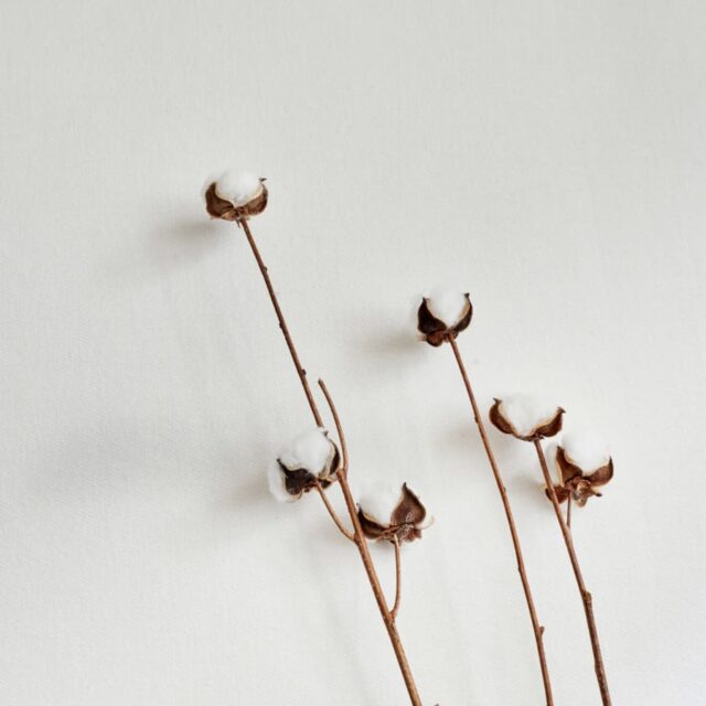 KIPLI - Protège-matelas bébé imperméable | 60x120 cm | 70x140 cm | 80x160 cm - Kipli