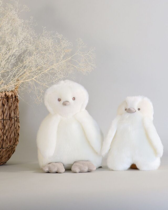 Pamplemousse Peluches -