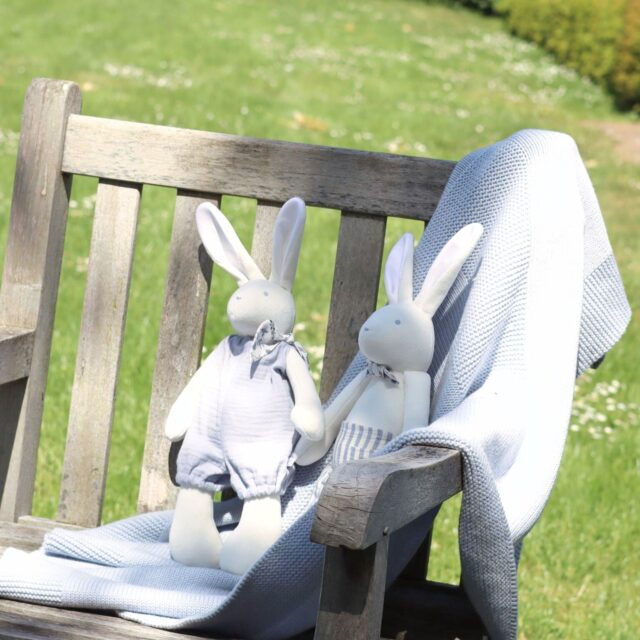 Pamplemousse Peluches -