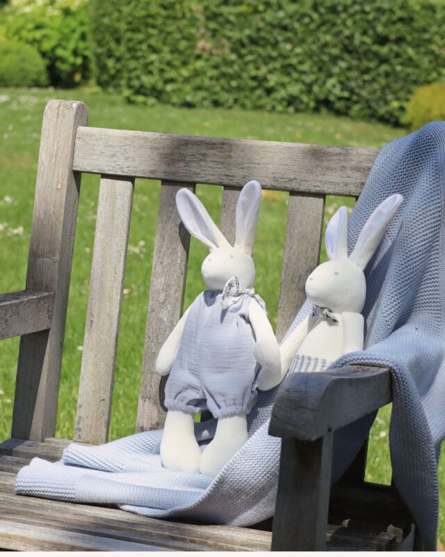 Pamplemousse Peluches -