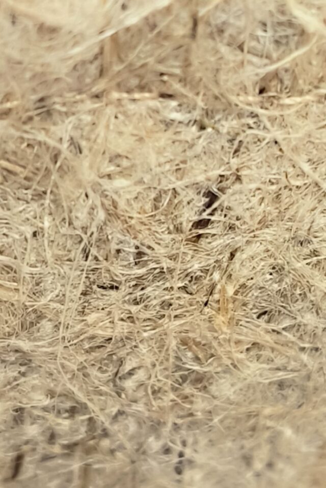 La Piece Paris Direct - Chapeau chanvre LUCO