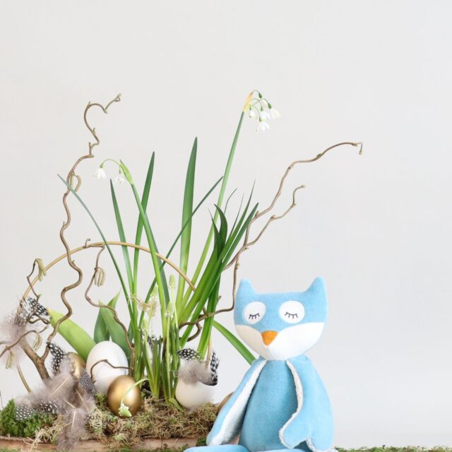 Pamplemousse Peluches -