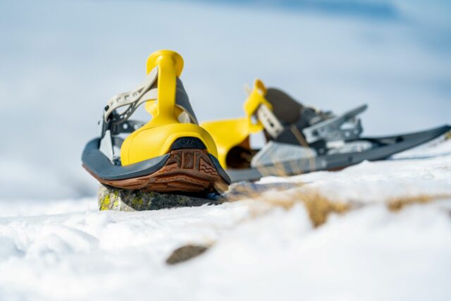 Evvo Snow - EVVO TOREE - Jaune / Gris