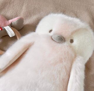 Pamplemousse Peluches - Hochet Victor Le Pingouin Rose