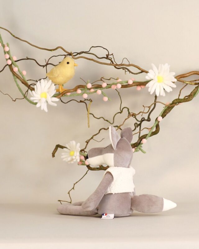 Pamplemousse Peluches -