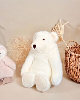 Pamplemousse Peluches - Peluche Ours Paul Emile Blanc