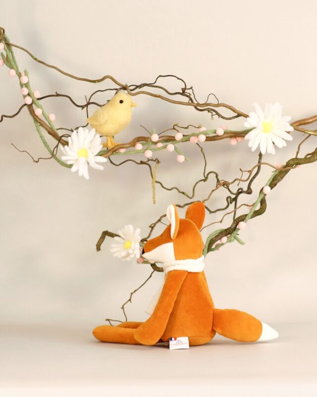 Pamplemousse Peluches -