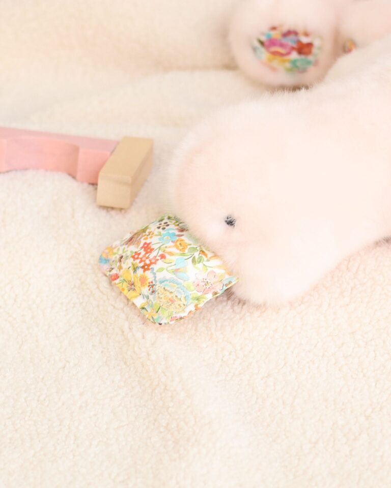 Pamplemousse Peluches -