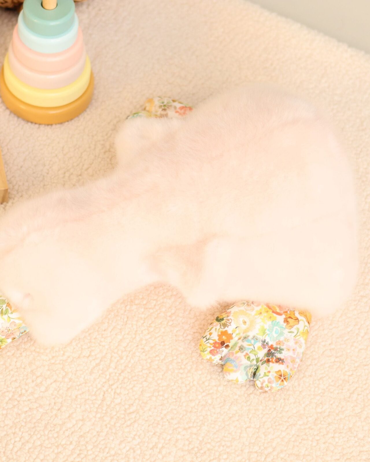 Sans titre 1536 x 1920 px 1536 x 1920 px 4 bcaafbc4 d1dd 42f0 b6d1 49baf0724735 Pamplemousse Peluches -