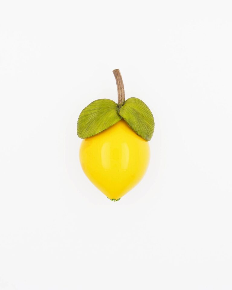 Ciléa Bijoux - Broche bijou fait main fruit Citron - Grand