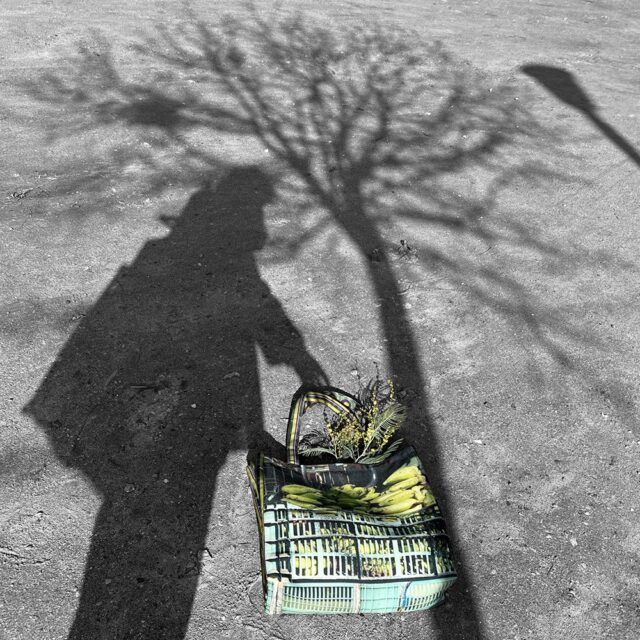 Maron Bouillie - Cabas du marché Choux – Bananes – sac cabas made in France