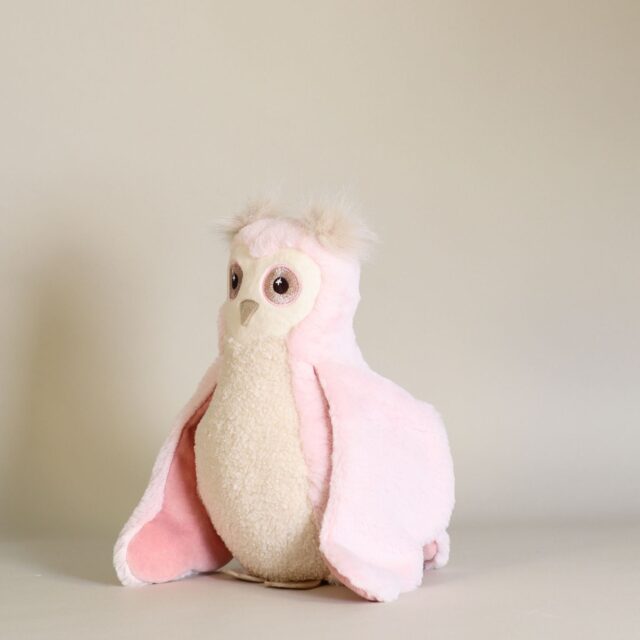 Pamplemousse Peluches -