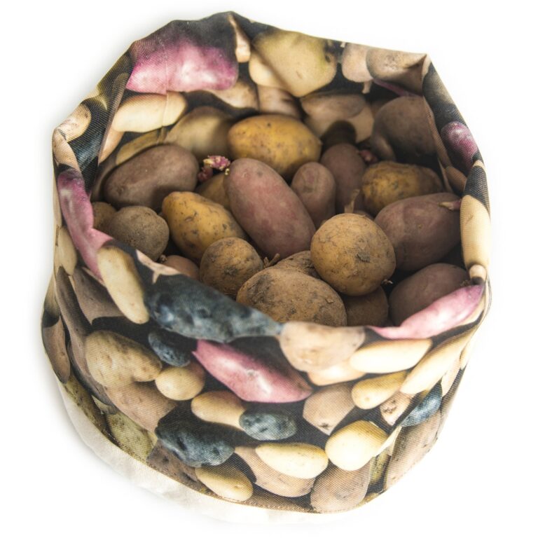 Maron Bouillie -